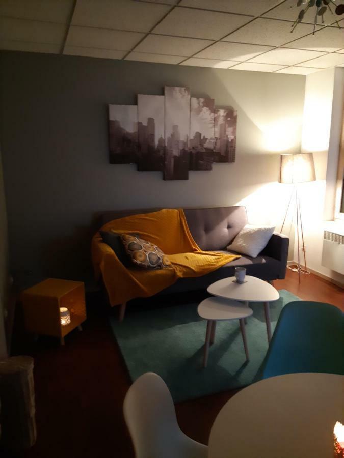 La Chouette 3 Apartment Dijon Luaran gambar
